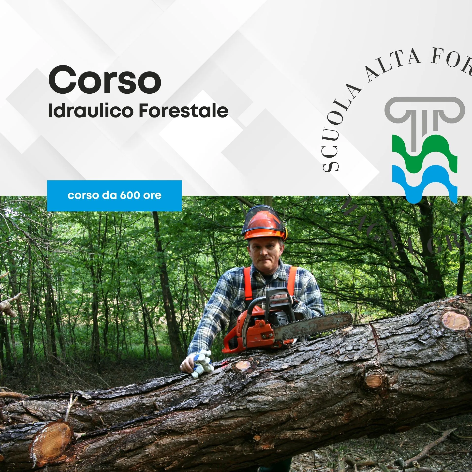 Idraulico Forestale